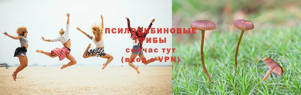 тгк Богданович