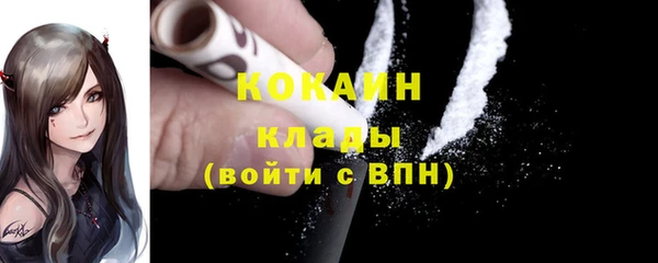 тгк Богданович