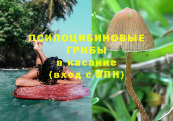 кокс Богородск