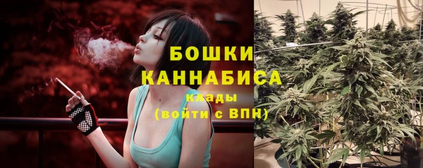 тгк Богданович