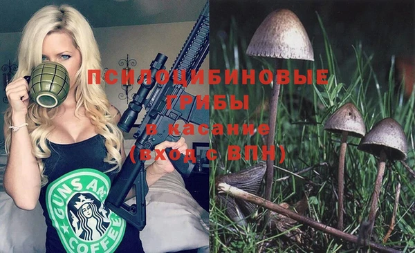 тгк Богданович