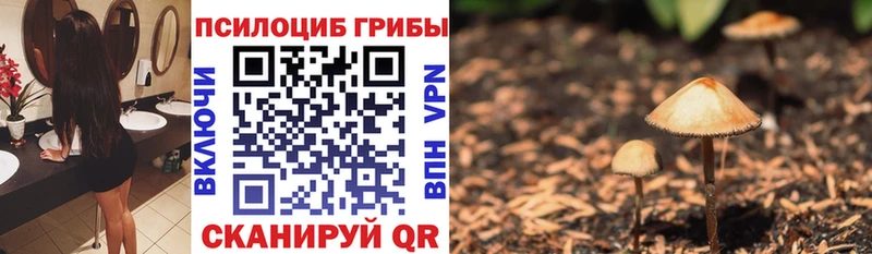 Псилоцибиновые грибы MAGIC MUSHROOMS  Вязьма 